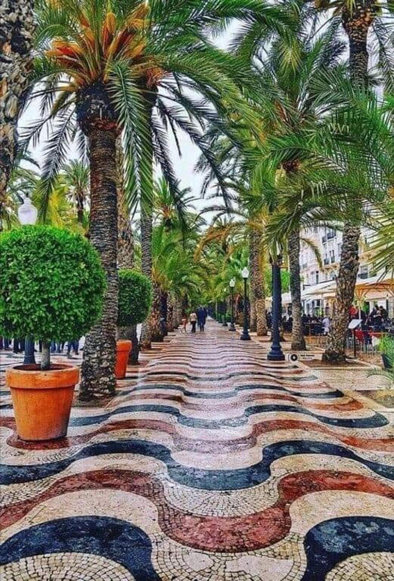 -Saint Thomas- Alicante Old Town Ngoại thất bức ảnh